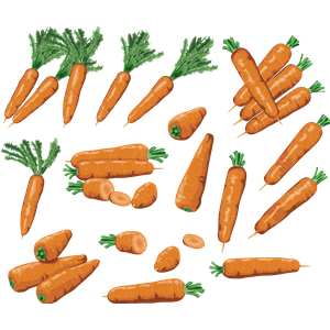 Carrots PNG image-4990